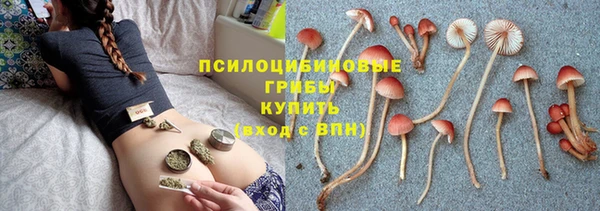 стаф Алексеевка
